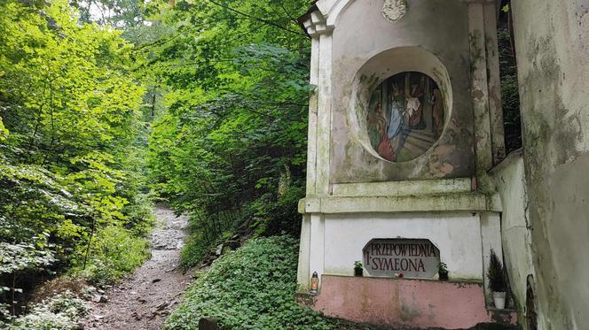 Z Wrocławia na weekend. Magiczne Bardo nad Nysą Kłodzką 