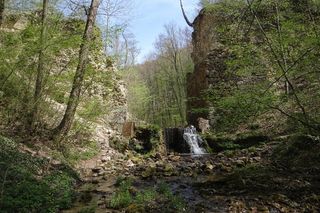Wyjątkowy las w Małopolsce. Przebiegała tam granica dwóch cesarzy