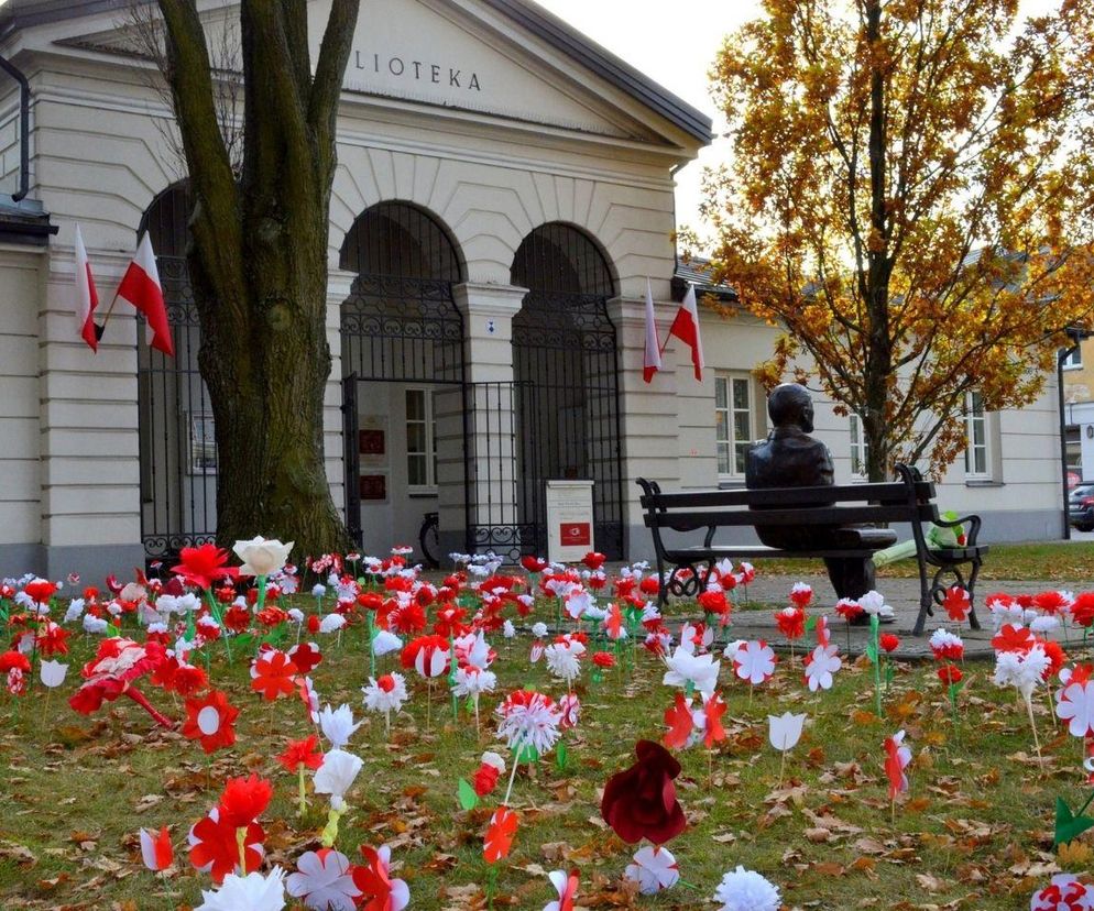 Przy siedleckiej MBP już po raz czwarty powstanie „Patriotyczny ogród” 