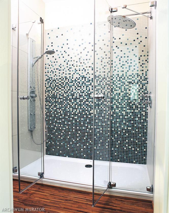 Panel prysznicowy