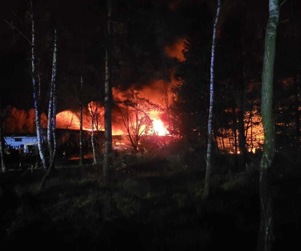 Ogromny pożar koło Tomaszowa Mazowieckiego