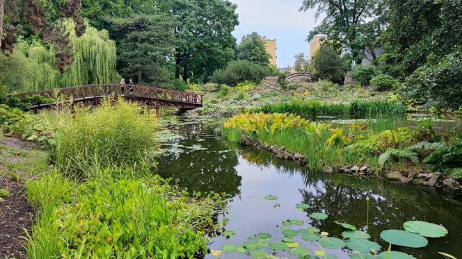 To jeden z najpiękniejszych ogrodów botanicznych w Polsce. Znajduje się na Dolnym Śląsku 