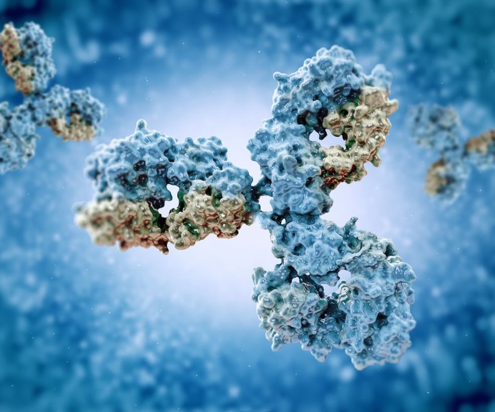 Immunoglobuliny typu A (IgA)