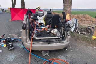 Samochód uderzył w drzewo, nie żyje pasażerka. Tragiczny wypadek w powiecie leszczyńskim