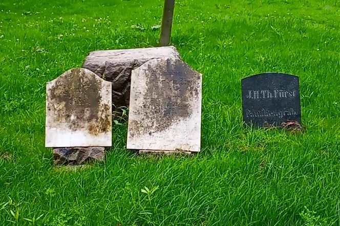 Ohlsdorfer Friedhof w Hamburgu