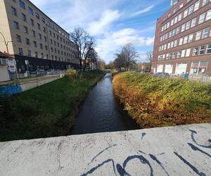 Powiedział o dwa słowa za dużo, po chwili już nie żył 