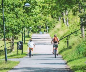 Finał Rowerowego Maja 2024. W planach kolorowy przejazd i piknik rodzinny