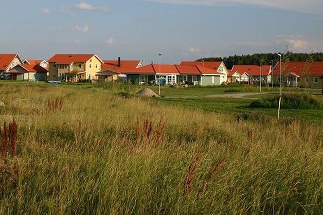 Stan prawny nieruchomości: co ewidencja gruntów i księga wieczysta powiedzą ci o działce?