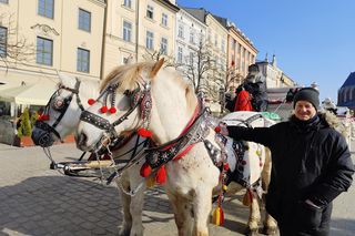 Obrońcy zwierząt chcą wykurzyć dorożkarzy z miasta. Tak się bronią: Koń jak członek rodziny