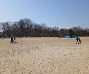 Mieszkańcy korzystają ze słonecznej pogody. Na plaży w Jelitkowie widać już pierwszych spacerowiczów!