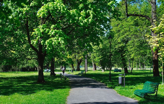 Park im. Henryka Jordana w Krakowie