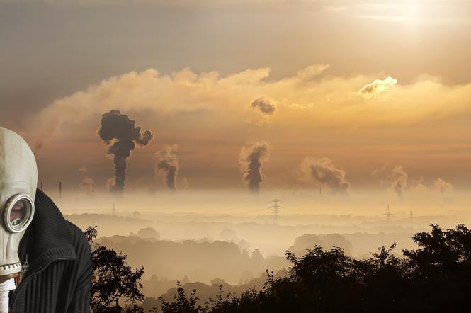 Uczniowie z Katowic walczą ze smogiem