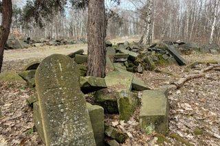 Prace archeologiczne na cmentarzu żydowskim na Bródnie (marzec 2025)