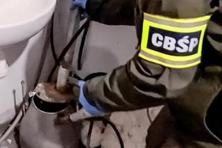 Bydgoskie CBŚP zlikwidowało gigantyczne laboratorium! Tu powstawała amfetamina 