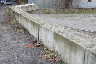 Mur Boniński na osiedlu Winiary