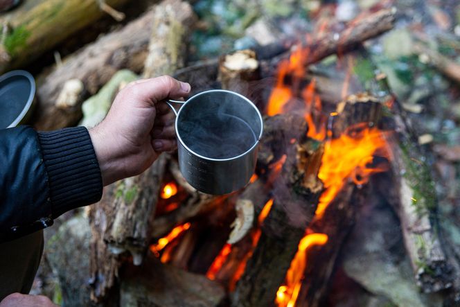 Survival: Lekcja przetrwania w niespokojnych czasach