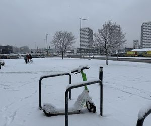 Śnieżny armagedon w Warszawie. Pierwszy atak zimy sparaliżował stolicę. Ogłoszono akcję ALFA