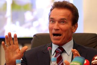 Arnold Schwarzenegger wraca do pracy