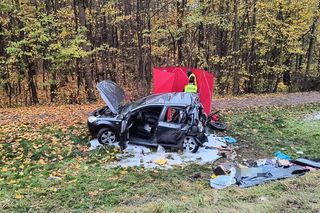 Tragiczny wypadek na DK 12. Ciężarówka wjechała w osobówkę. Jedna osoba nie żyje