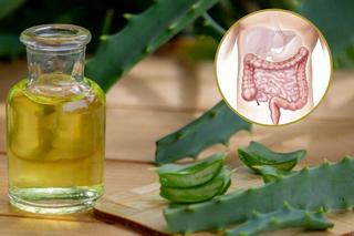 Aloes to złoto dla jelit. Poznaj jego dobroczynne właściwości