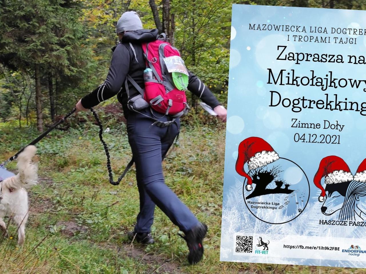 Mikołajkowy Dogtrekking w Zimnych Dołach - wyjątkowa impreza dla miłośników psów i pieszych wędrówek