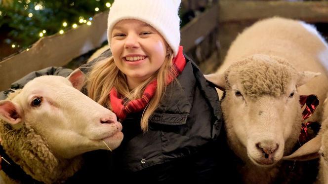 Święta w M jak miłość odcinek specjalny. Lenka (Olga Cybińska)