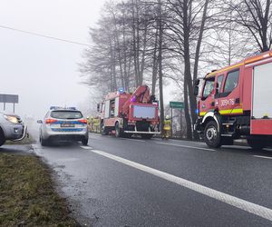 Wypadek śmiertelny w Grodźcu na DK 46