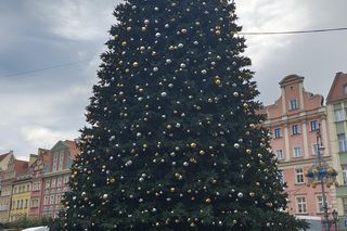 Choinka za milion złotych stanęła we Wrocławiu. Tak wygląda luksusowe drzewko 