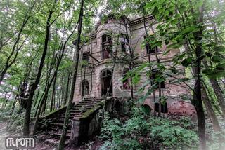 Ruiny pałacu schowane w dawnym parku. Miejsce to budzi grozę i zachwyca! [ZDJĘCIA]