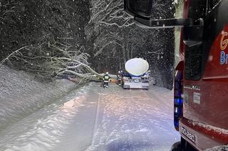  W powiecie braniewskim zima nie odpuszcza. Strażacy mają ręce pełne roboty
