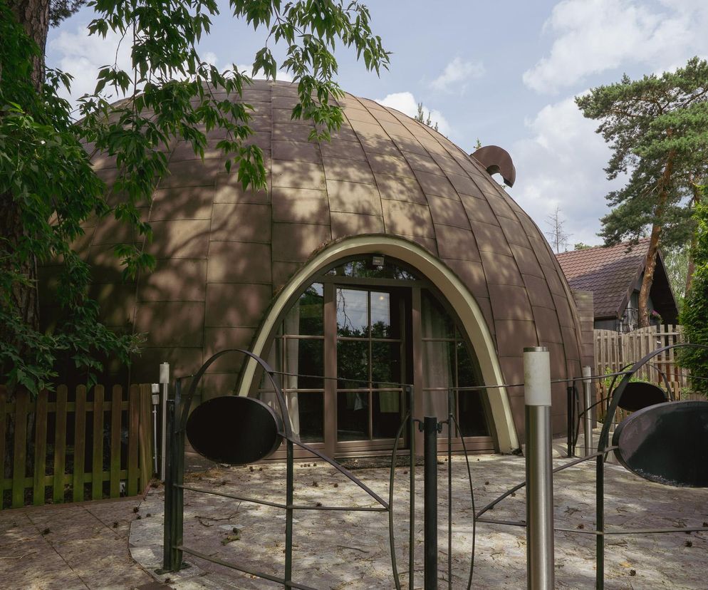 UFO w Aninie to prawdopodobnie projekt Witolda Lipińskiego