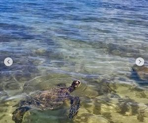 Ten wpis Anity Werner poruszył tysiące osób. Nikt się tego nie spodziewał!
