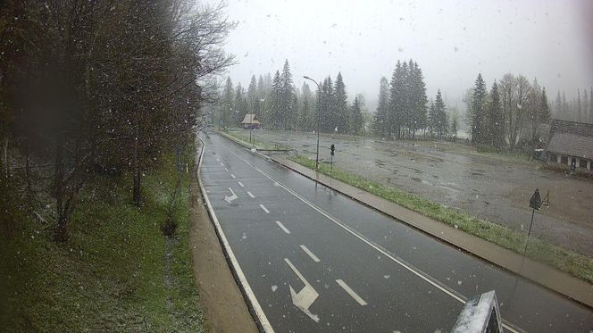 Śnieżyca w Małopolsce. Atak zimy w połowie maja!