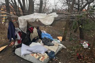 W krzakach pod blokiem na wrocławskim Gaju osiedliła się para bezdomnych!