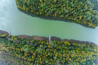 Zalew Sosina w Jaworznie. Raj dla miłośników sportów wodnych i relaksu na łonie natury