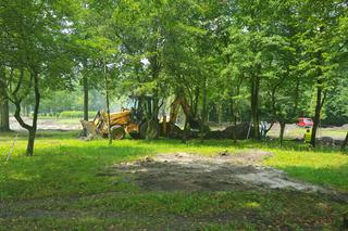 Ogród Jordanowski w Sosnowcu