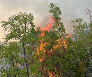 Pożary w Chorwacji zagrażają turystom