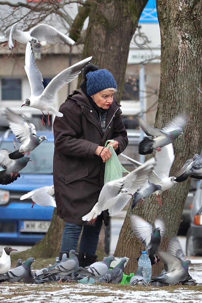 Anna Chodakowska. Gwiazda "Labiryntu" wśród ptaków