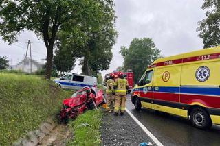 Wypadek w pow. kraśnickim. Dwa auta wylądowały w rowie