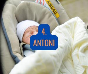 4. Antoni