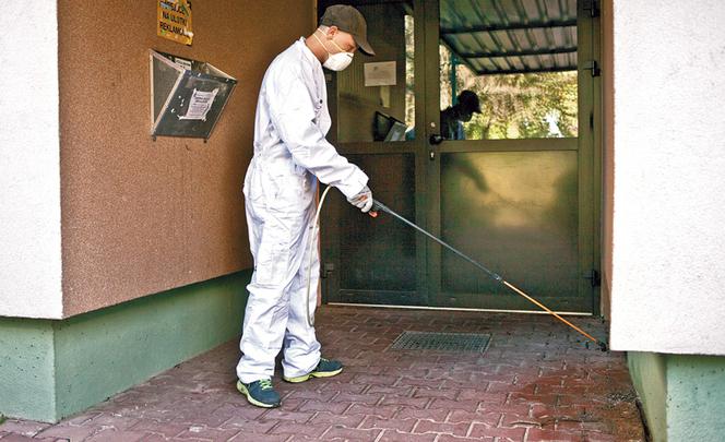 Robale atakują Lublin