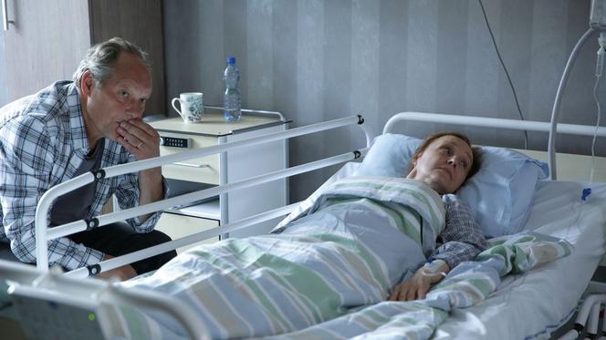 M jak miłość, odc. 1477. Olewicz (Tomasz Dedek), Ela Olewicz (Ewa Domańska)