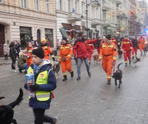 Wielka Szarża w centrum Łodzi. Oddziały konne przeszły przez Piotrkowską