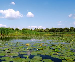 Krynki. Niezwykłe miasteczko na Podlasiu. Historia, zabytki i ciekawostki