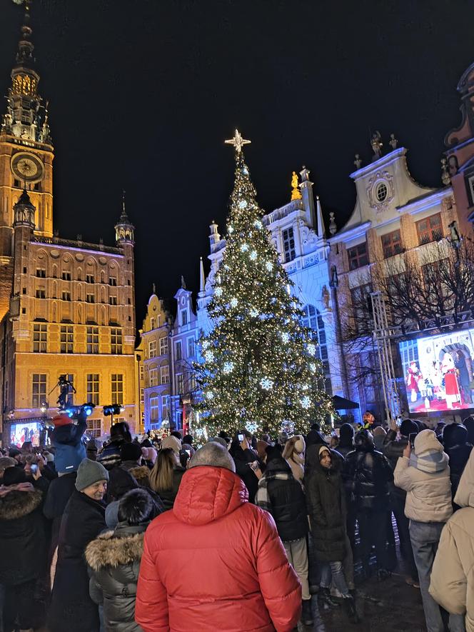 Gdańska choinka rozbłysła. Zobaczcie nasze zdjęcia!