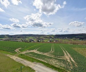 Widok z wieży w Różance