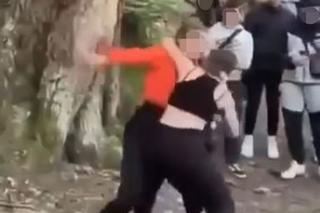Brutalna bójka dwóch nastolatek w Gorlicach! Świadkowie jeszcze zagrzewali je do walki [ZDJĘCIA]