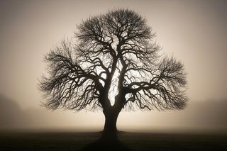 Tajemnice Ostrzeszowa. Co kryje historia miasta?