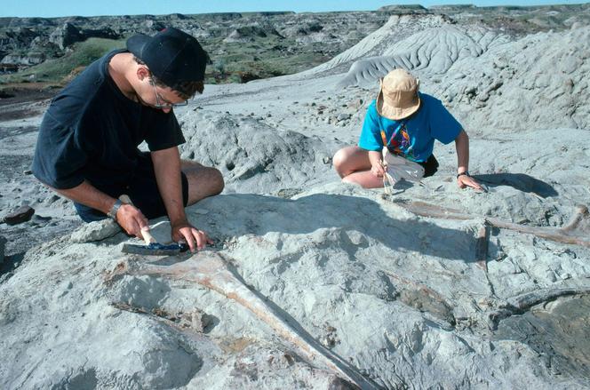 Drumheller, Kanada