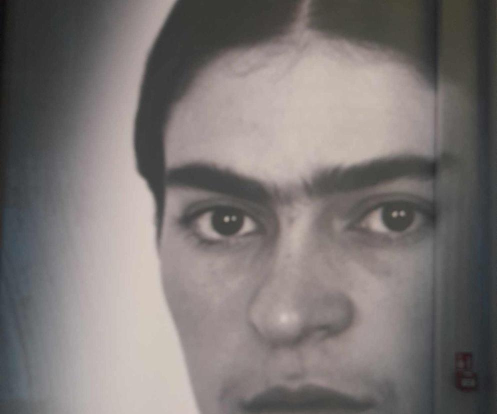 Frida Kahlo w Fabryce Norblina. Będzie hit!